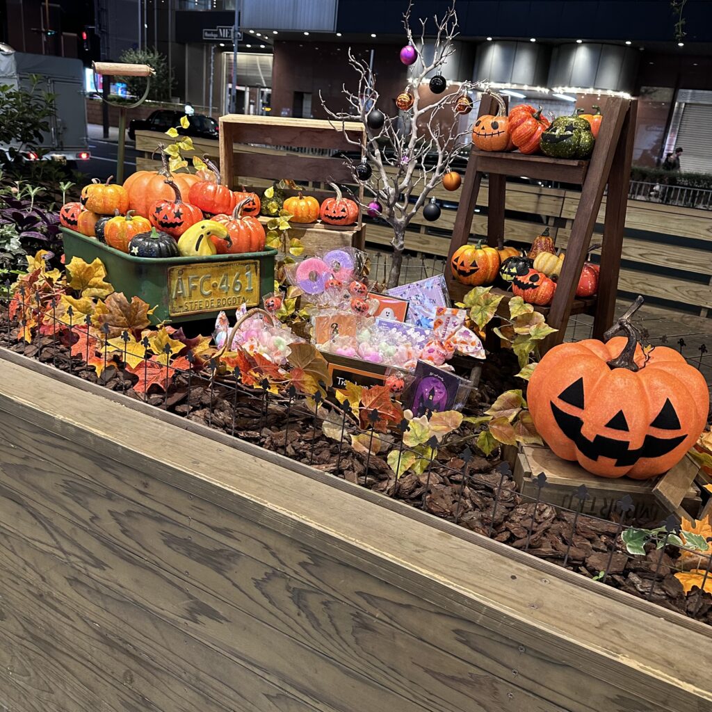 OS広場花壇ハロウィンバージョン🎃