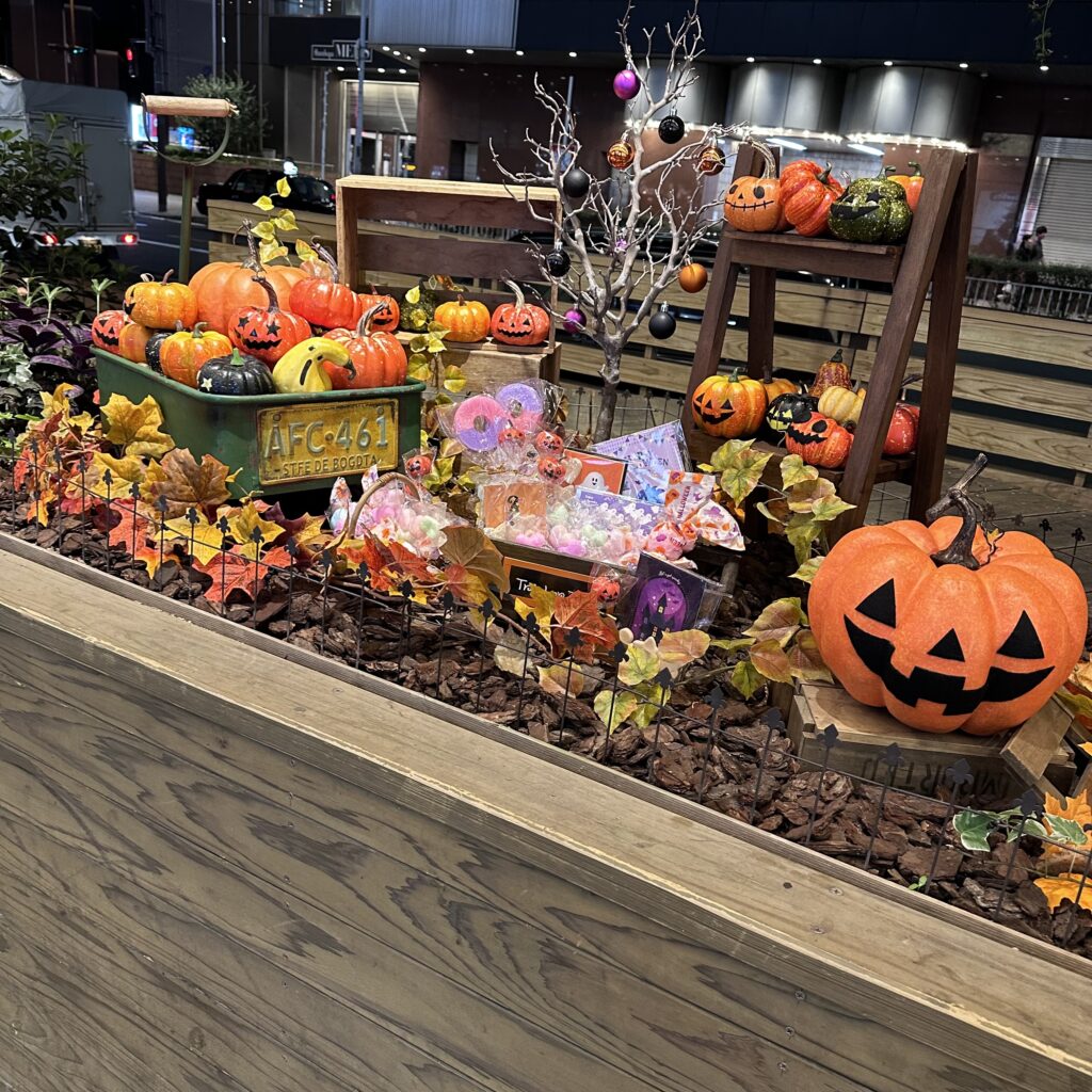 OS広場花壇ハロウィンバージョン🎃